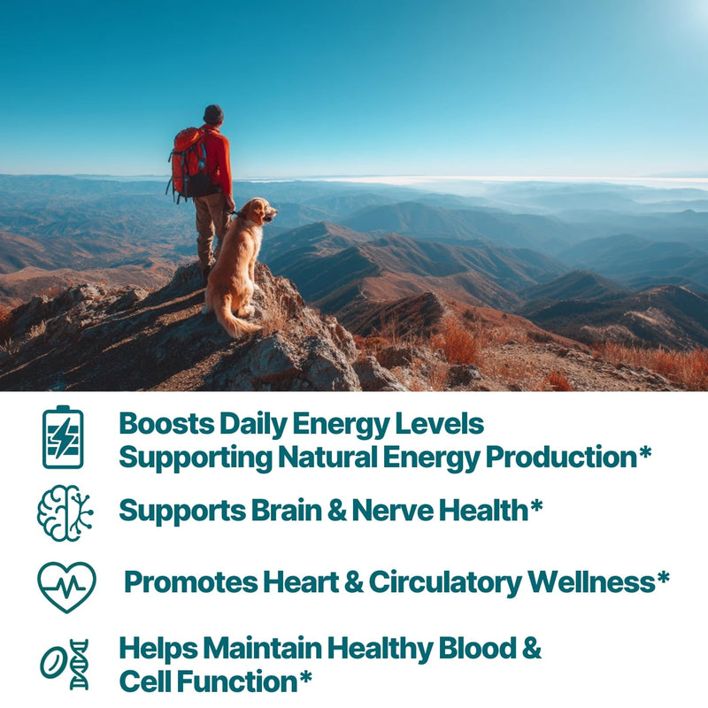 Plus B 11-in-1 Beadlet Capsule – Complete B-Complex with B1, B2, B3, B5, B6, B7, B9, B12 – Timed Release for Energy, Vitality, Brain, Heart, Immune, Mood, & Overall Wellness