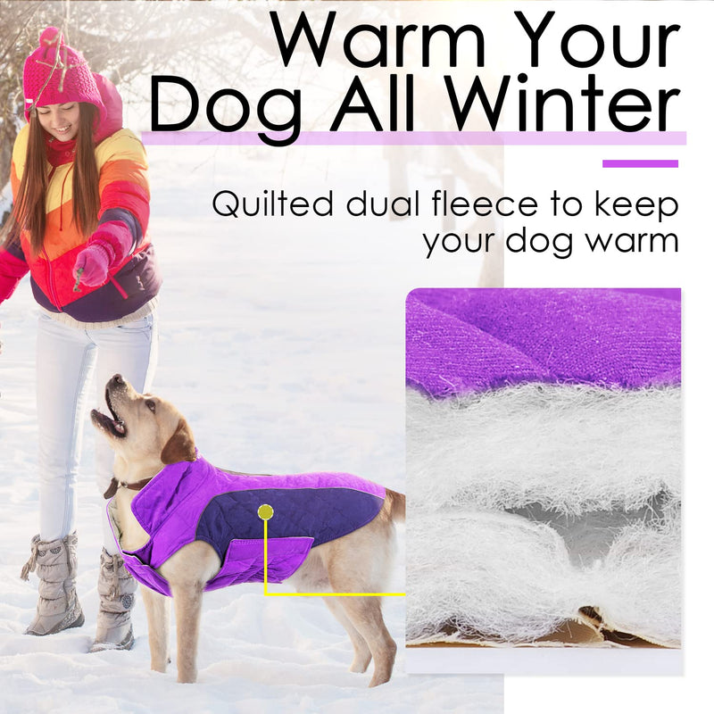 ThinkPet Dog Cold Weather Coats - Cozy Waterproof Windproof Reversible Winter Dog Jacket, Thick Padded Warm Coat Reflective Vest Clothes for Puppy Small Medium Large Dogs M(Chest 18¾-20", Back 12" ) Purple - BeesActive Australia