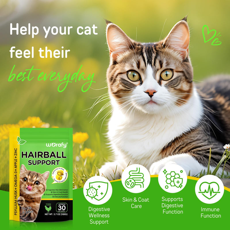 Cat Hairball Remedy Treats, Tasty Supplements to Help Prevent & Remove Hairballs, Supports Digestion, Skin & Coat Health, Chicken 100g (3.7 Oz)