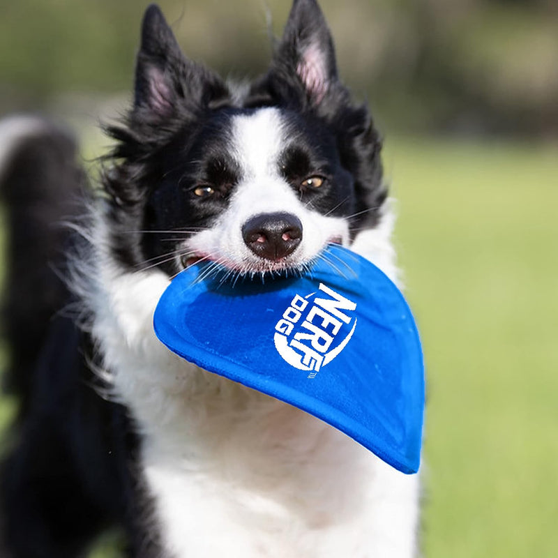 Nerf Dog Nylon Flyer Dog Toy, Flying Disc, Lightweight, Durable and Water Resistant, Great for Beach and Pool, 9 inch diameter, for Medium/Large Breeds, Single Unit, Blue 9 in Nylon Flyer - BeesActive Australia