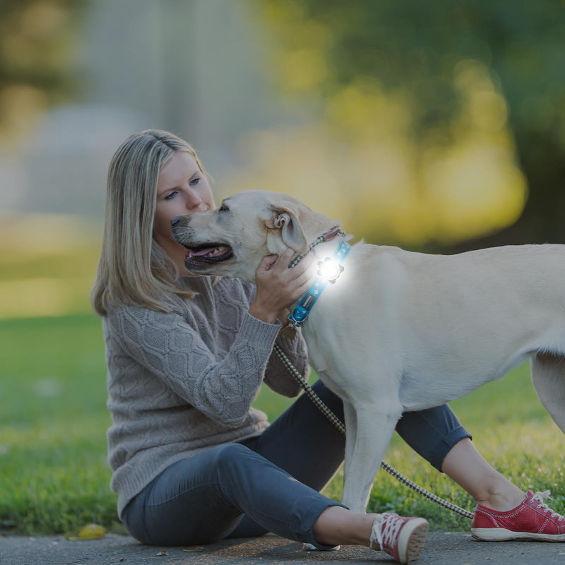 Sporgo Pack of 4 safety pet lights, LED flashing light for dogs, cats, USB rechargeable safety light, LED light pendant dog, waterproof pet lights with 4 flashing modes 2 - BeesActive Australia