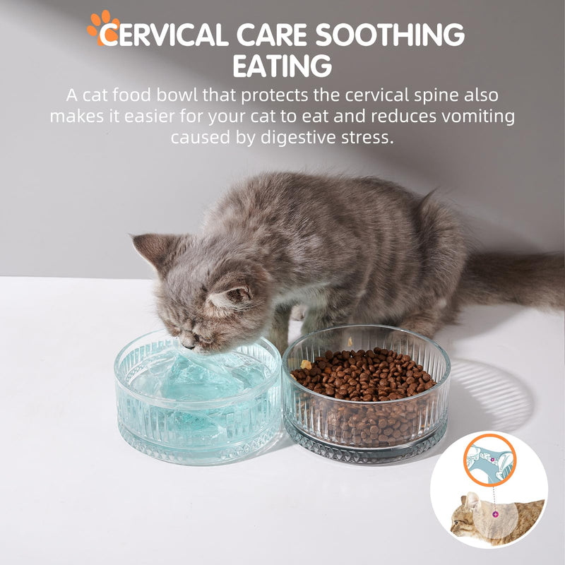 Set of 2 Glass Cat Bowls, Food and Water Bowls for Cats, Kity, 2pcs Cat Dishes, Cat Feeder (5.1 inch, 2 x Transparent Dish Bowls Glacial Rocks Raise The Water Level - BeesActive Australia