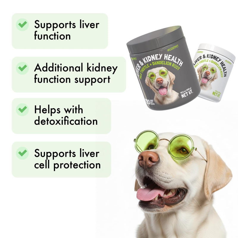 Liver & Kidney Support for Dogs Detox Natural Supplement with Milk Thistle Dandelion Root Turmeric Curcumin Hepatic Support Treats for Canine Liver Function, Immunity & Digestion 120 Soft Chews 120 Chews (Pack of 1)