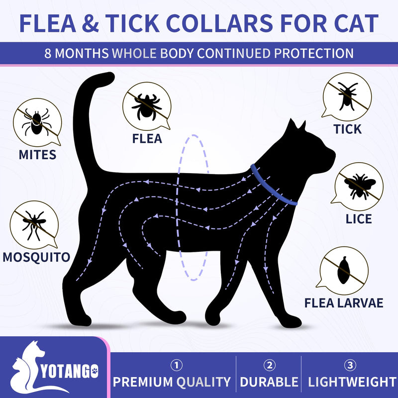 4 Pack Flea Collar for Cats, 32 Months Flea and Tick Prevention for Cats, Waterproof Cat Flea Collar, Natural Cat Flea and Tick Treatment, Adjustable Flea and Tick Collar for Cats Kittens(Blue&Pink) - BeesActive Australia