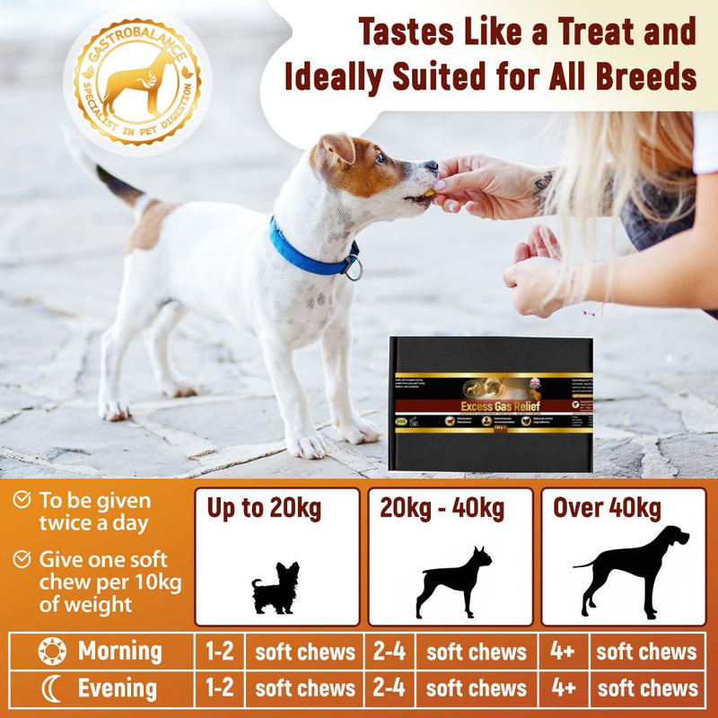 flatulence relief for dogs natural remedy to cure dog wind farts (Bacon flavour) Bacon flavour