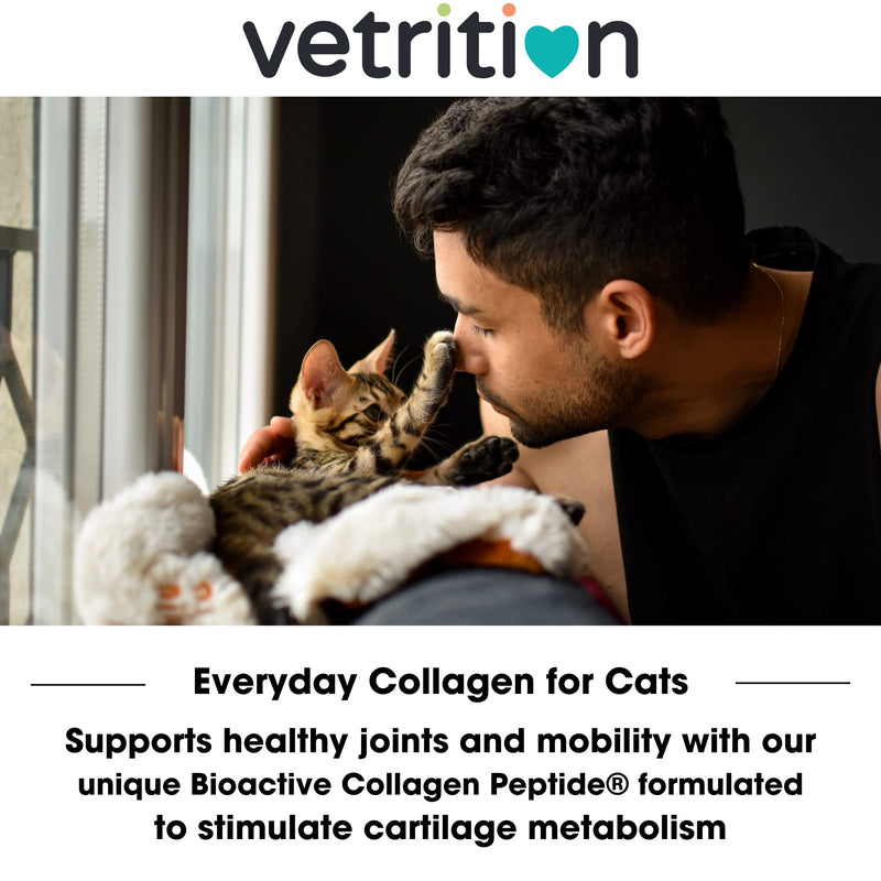 Everyday Collagen for Cats - Bioactive Cat Supplement for Hip & Joint Care - Easily Digestible Vet-Trusted Cat Collagen Powder for Mobility & Skin Health (75g Powder)