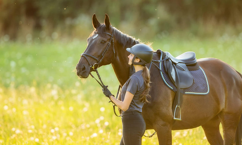 MEGA ASHWAGANDHA + Equine Calming Supplement with Ashwagandha, Adaptogenic Herbs, B-Vitamins for a Calmer more Focused Horse