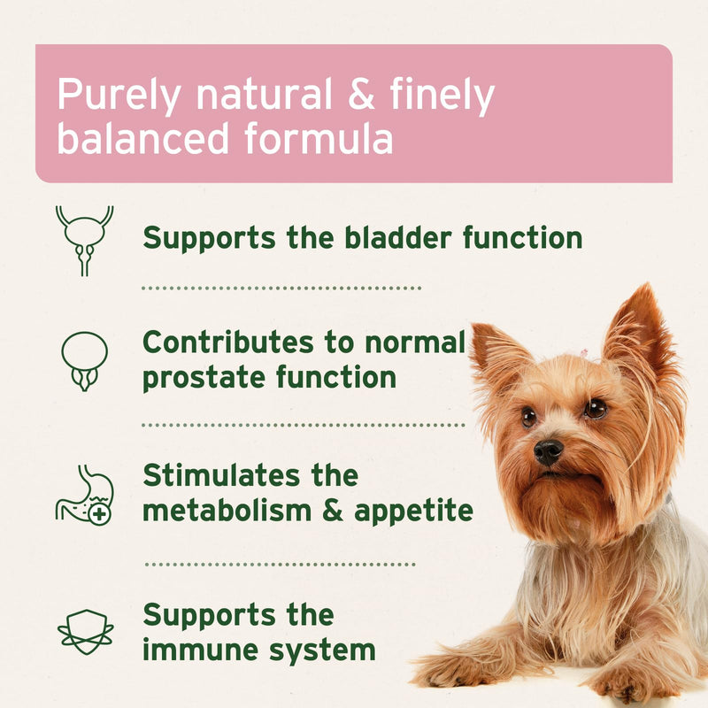 AniForte Bladder Formula for Dogs 100g – Used for Bladder Weakness & Urine Loss, Supports Bladder Function, Supplementary Feed for Incontinence