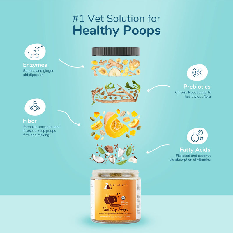 kin+kind Organic Pumpkin Powder for Dogs & Cats for Healthy Poop - Made in USA - Natural Pumpkin Powder Formula w/Flax Seed, Ginger, Turmeric & Coconut - Nutritional Supplement - Small 4oz 4 Ounce - BeesActive Australia