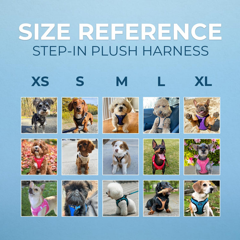 Voyager Step-In Plush Dog Harness – Soft Plush, Step In Vest Harness for Small and Medium Dogs by Best Pet Supplies - Harness (Turquoise Plush), L (Chest: 18 - 20.5") Harness (Turquoise Plush) L (Chest: 18 - 20.5") - BeesActive Australia