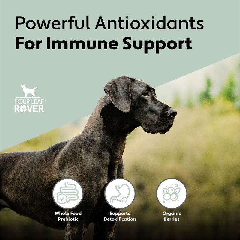 Red Rover - Dog Urinary Tract Supplement - with Dog Vitamins from Organic Berries and Apple - Good Source of Polyphenols and Antioxidants - 30 Large Dog Servings - BeesActive Australia