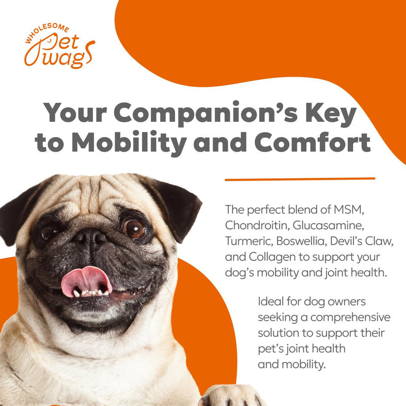 Canine Hip & Joint Soft Chews | Supplement for Dogs, Glucosamine, Collagen, Chondroitin, Turmeric Supplements, Dog Joint Health Support | 60 Chews (180g, 6.35 oz.) - PawsPlanet Australia