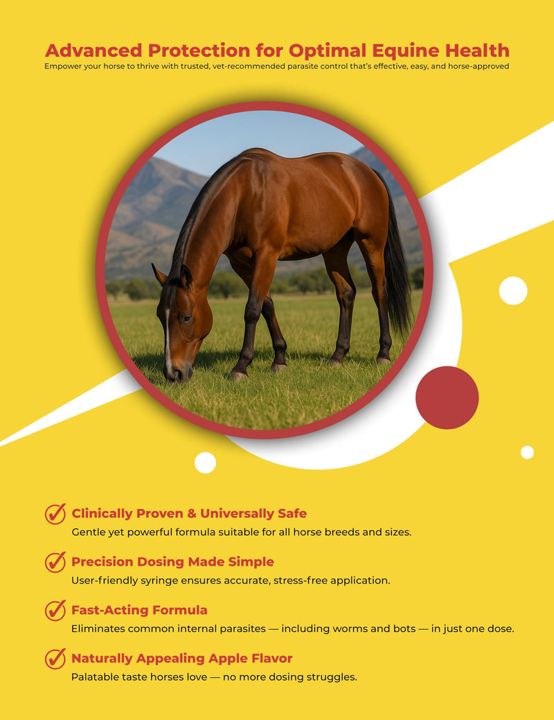 Horse Paste Gel 1.87% – Apple Flavored Oral Syringes – 6.08g Each (2-Pack) – Adjustable Weight Markings – for Equine Use 2