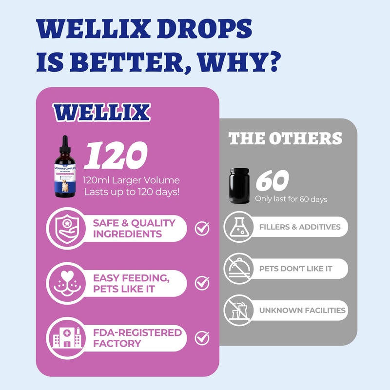 Wellix 4.06 fl oz Vitamin B Complex Drops with Taurine for Dogs and Cats | Vitamin B Complex (B3, B1, B12, B5, B2, etc.) for Dogs and Cats, Appetite Stimulant, Energy Support & Healthy Skin