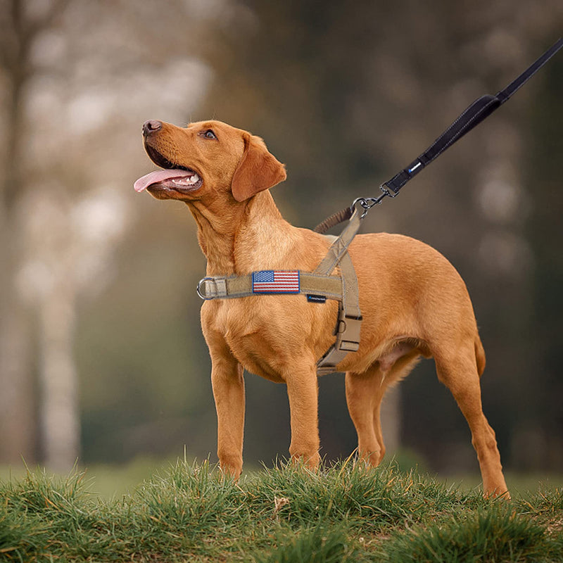 No Pull Dog Harness with Soft Padded Handle,Reflective Strip Escape Proof and Quick Fit to Adjust Dog Harness,Easy for Training Walking for Small & Medium and Large Dog(Brown,L) L Brown - BeesActive Australia
