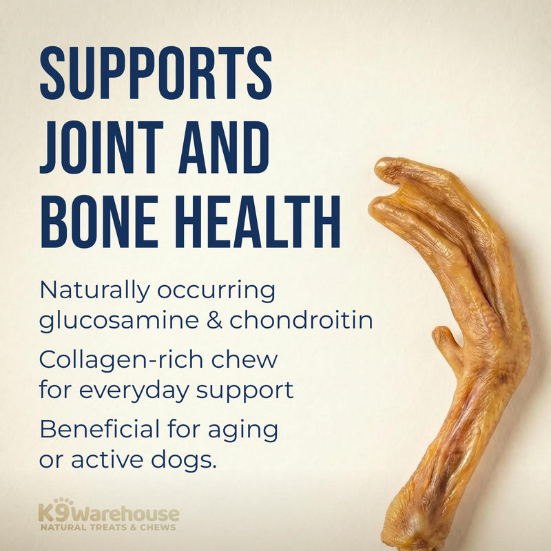 K9warehouse Duck Feet for Dogs – High Protein Dehydrated Dog Treats, Natural Crunchy Chews with Collagen, Glucosamine & Chondroitin for Joint & Hip Health, Dental Care, Small to Large Breeds (30 pcs) 30 Pack - BeesActive Australia