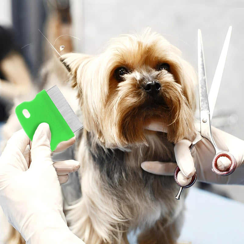 Molain metal lice comb, pack of 4 cat dog flea comb, flea comb for removing fleas, plastic double-sided nit comb, pet comb, stainless steel lice comb, metal teeth lice comb for removing (green) green - BeesActive Australia