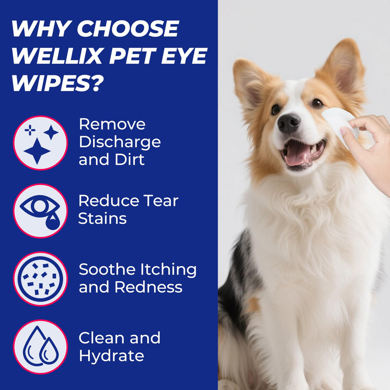 Wellix 110 Counts Dog & Cat Eye Wipes for Discharge and Crust - Pet Eye Wipes Tear Stain Remover for Dogs and Cats - Dog and Cat Grooming Wipes for Eyes, Wrinkle & Face - 3.15 Inches Extra Large 110 count-wipes