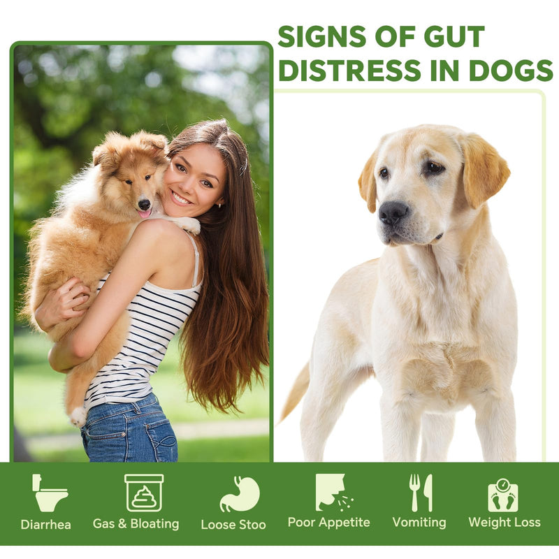 Probiotics for Dogs | Gut Health | Dogs Digestive Support | Dog Constipation Relief | Dog Stomach Upset Medicine | B12 for Dogs Supplement for IBD Support – Digestive Health– Diarrhea & Gas Relief