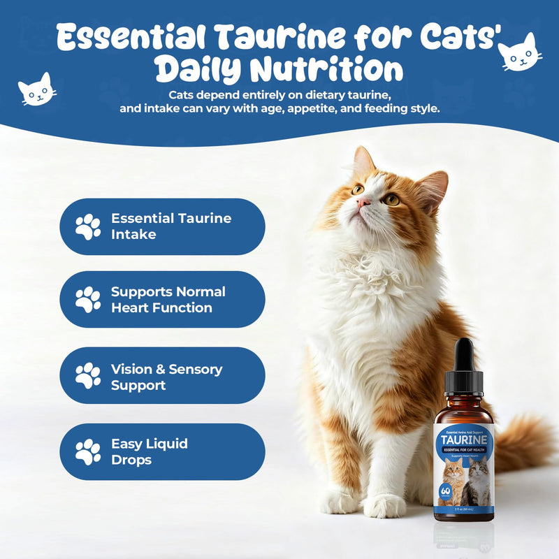 Taurine Liquid Supplement for Cats, Daily Amino Acid Support for Heart Health, Vision & Metabolic Balance, Liquid Drops for Long-Term Feline Nutrition, 60 mL 60 ml (Pack of 1)