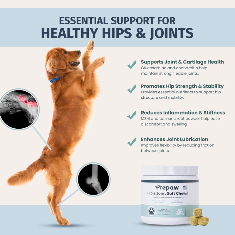 Hip and Joint Supplement for Dogs with Natural Ingredients Glucosamine Chondroitin MSM Turmeric and Collagen Dog Joint Soft Chews for Mobility Support USA Made 120 Count