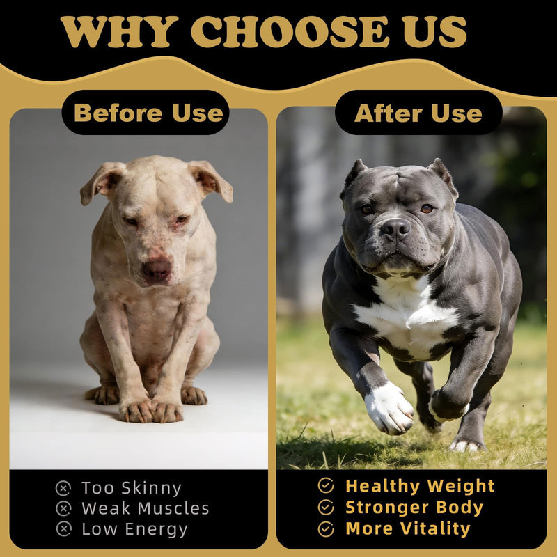 Dog Weight Gainer Supplements - Muscle Builder Chews for Lean Mass - 800mg Whey Protein & BCAAs - High Calorie Food Topper for Picky, Active & Underweight Breeds (100 Ct)