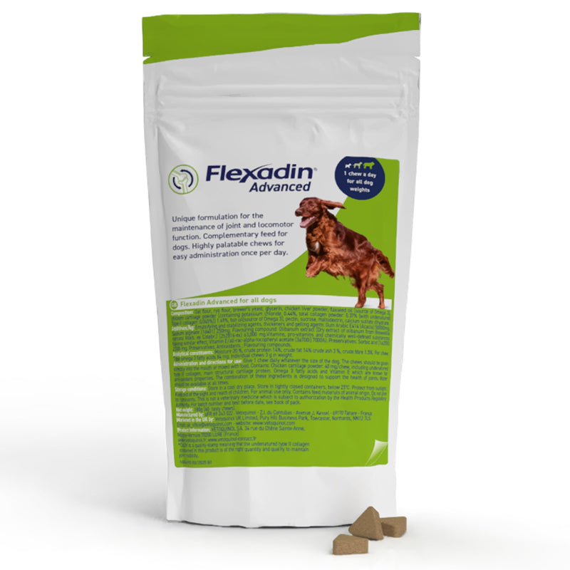 Flexadin Advanced Joint Care Supplement for Dogs containing Undenatured Type II Collagen, Boswellia serrata, Omega 3 & Vitamin E/Promotes joint health, mobility & flexibility | 60 chews