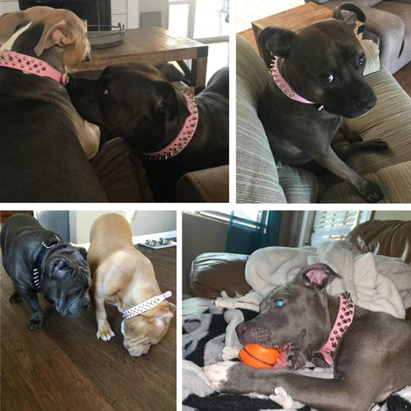 TEEMERRYCA Adjustable Leather Spiked Studded Dog Collars with a Squeak Ball Gift for Small Medium Large Pets Like Cats/Pit Bull/Bulldog/Pugs/Husky, Pink, L(15"-18.5") Large: Neck 15"-18.5" - BeesActive Australia