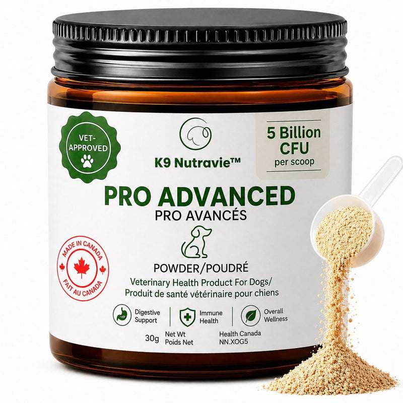 Dog Probiotic Powder for Digestive Support | 5 Billion CFU | Gut Health & Immunity Support | Mix-in Powder | 60g | Unflavoured (60g)
