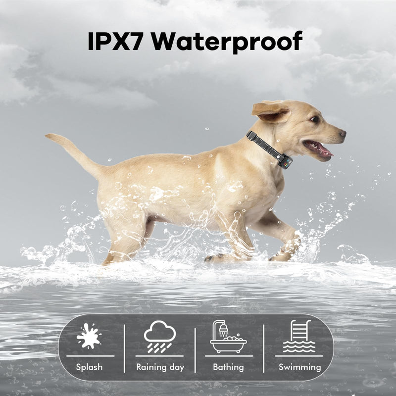 AI Dog Shock Collar 2 Dogs (10-120Lbs) - 3300FT Dog Training Collar with Remote, IPX7 Waterproof Collar with Beep, Vibration, Safe Shock for Large Medium Small Dogs, Keypad Lock and Flashing Light Black - BeesActive Australia