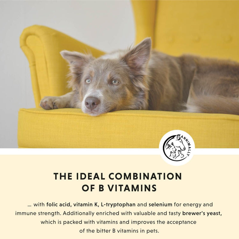 Annimally Vitamin B Complex for Dogs & Cats Tablets 120 pcs. - Daily Supplement with Folic Acid, Vitamin K, L-Tryptophan & Brewer’s Yeast, Made in Germany