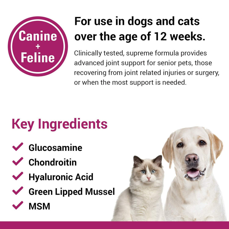 Vet Classics ArthriEase-Gold Hip & Joint Support for Dogs, Cats, Horses – Chewable Tablet Health Supplement – Alleviate Aches, Discomfort – for Flexibility, Healthy Joint – Antioxidant - 120 Ct 120 Tablets - BeesActive Australia