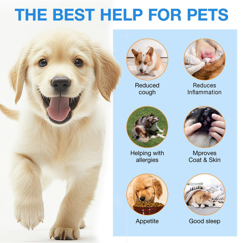 Kennel Cough Treatment, Xsvseie Kennel Cough Drops for Dogs Natural Cough Supplement for Dogs Herbal Kennel Cough Drops for Dogs All Breeds & Size - PawsPlanet Australia