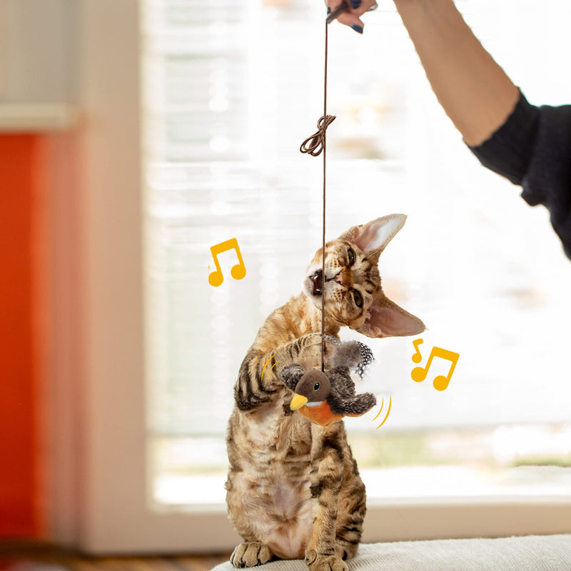 Cat Toys for Bored Indoor Cats, Cat Bat Wings with Catnip Cats, USB Rechargeable Motion Activated Kitten Toys, Interactive Flapping and Chirping Bird Cat Toy Robin Bird - BeesActive Australia