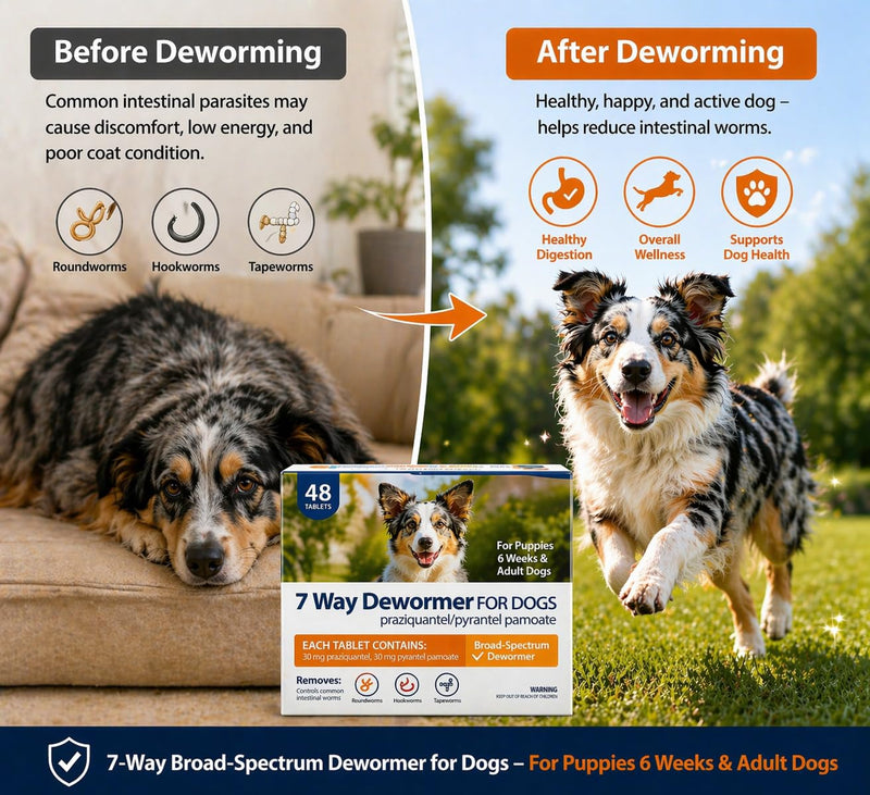 DEWORMER-Canine Tablets,pyrantel pamoate & praziquantel,48 Tablets