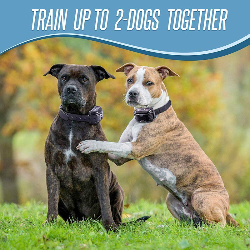 Pet Union PT0Z1 Premium Training Shock Collar for Dogs with Remote - Fully Waterproof, 4 Adjustable Training Modes - Shock, Vibration, Beep - Up to 1200ft Range Light Gray - BeesActive Australia