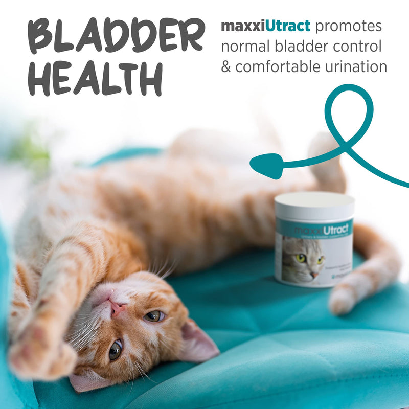 maxxipaws maxxiUtract Urinary & Bladder Support - Powder Supplement for Cats, 3.2oz 3.2 oz