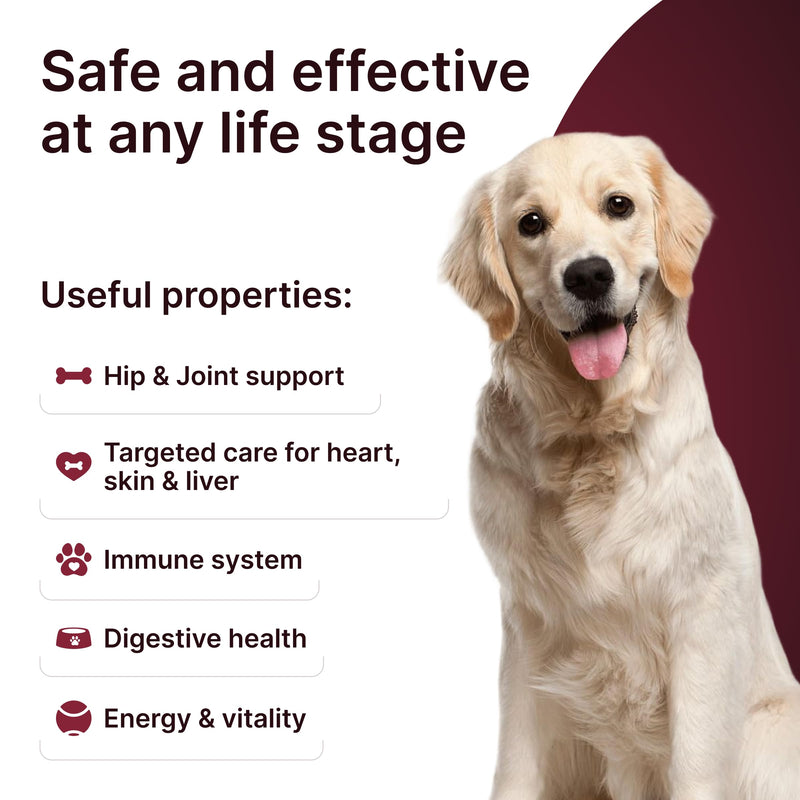 Hip & Joint Supplement for Dogs – Mobility Support with Glucosamine, Chondroitin, MSM, Turmeric, Mussel, Hemp Dog Joint Pain Relief – 120 Soft Chews for Large, Medium, Small Dogs Breeds– Beef Flavor