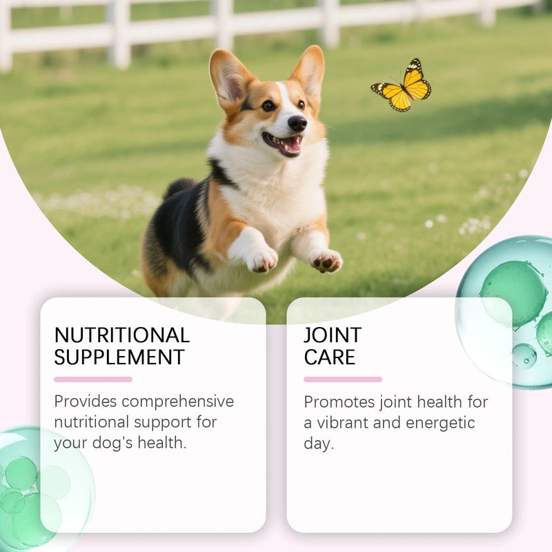 Collagen for Dogs, Liquid Dog Collagen Drops, Fast Absorption Supplement for Joint, Skin, Coat & Digestion Support, 60ml