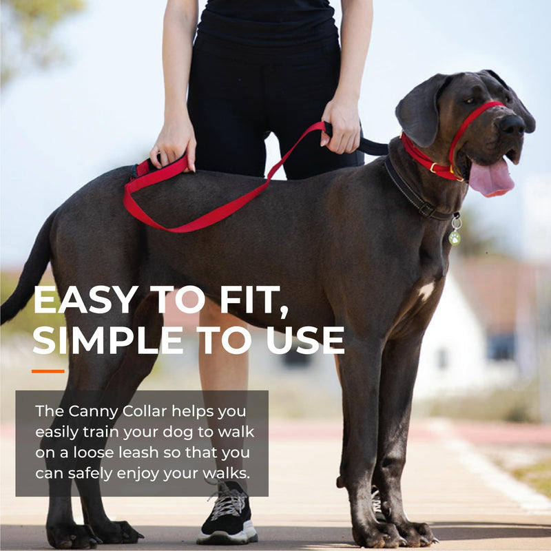 Canny Collar No-Pull Dog Collar - The Kind, Gentle Head Collar for Dogs| Dog Training Tool for Easier Dog Walking | Red - Size 6 Size 6 - 48-53cm (19"-21") - BeesActive Australia