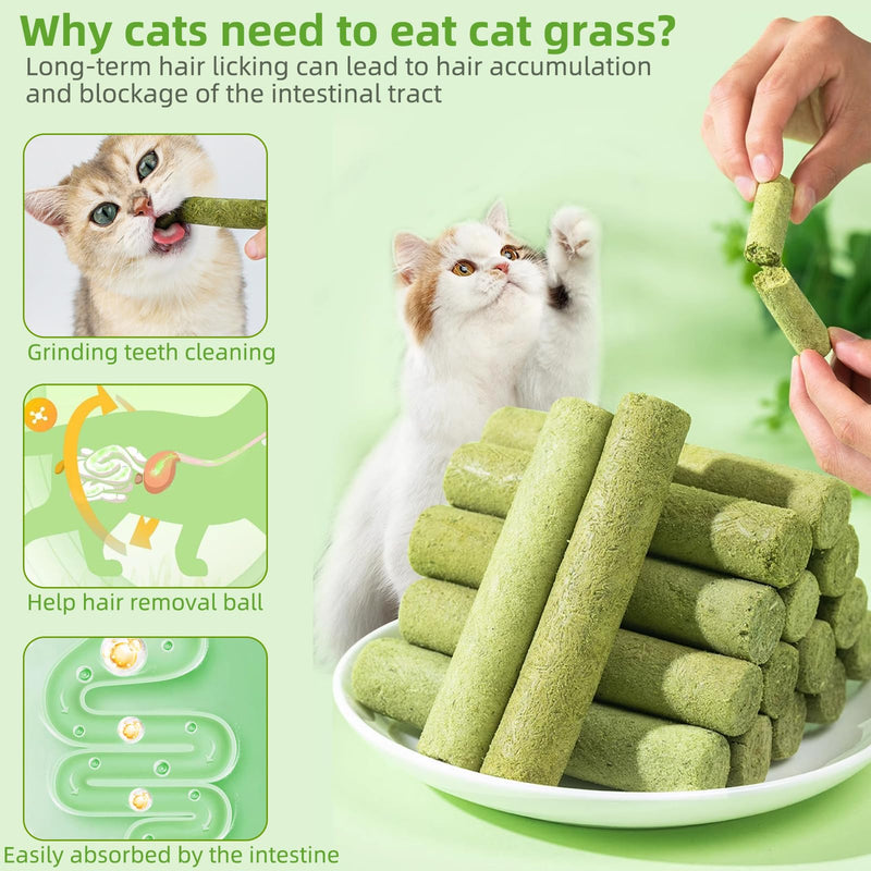 Cat Natural Grass Teething Sticks 100g, Cat Kitten Chew Sticks for Hairball Removal, Dental Care, Increase Appetite, Catnip Sticks Toys Cat Nip Treat Toys Edible Kitty Toys for Indoor Cats Kittens - PawsPlanet Australia