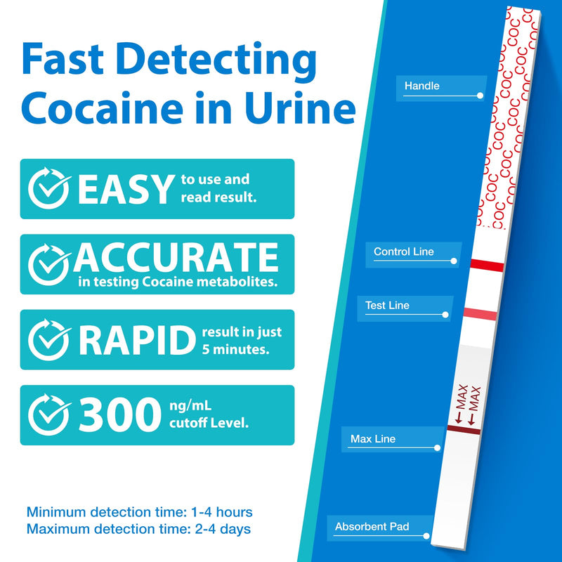 Areta Cocaine Test Strip: Cocaine Drug Test Single Panel Urine Screen Kits, 15 Pack Instant Accurate Home Cocaine Tests Coke Dipstick with Cups, 300 ng/mL Cutoff -ASCOC-114 15 Count