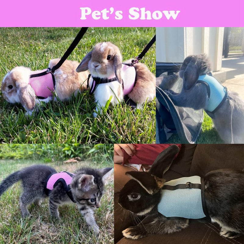 Guinea Pig Harness and Leash Set, Rat Harness and Leash Eescape Proof Walking Training for Small Animal Pets,Pink S Pink S Chest 4.7-6.2",Suitable Guinea Pig ,Rat - BeesActive Australia