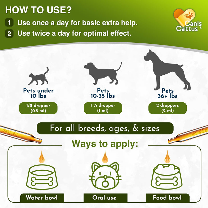 Dog Antibiotics in Drops Work as Cat UTI Treatment, Support Pets with Allergies – Natural Antibiotics for Dogs Care for Digestion and Breathing in All Pet Sizes and Breeds – 2 oz 2 Fl Oz
