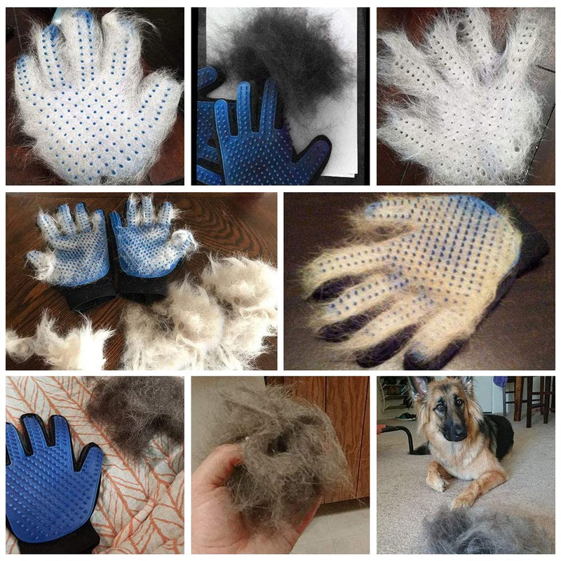 Washing glove for cats, cat gloves, cat glove grooming, cat glove brush, grooming glove made of silicone glove, cat brush, dog brush, grooming glove for pets, 1 blue - BeesActive Australia