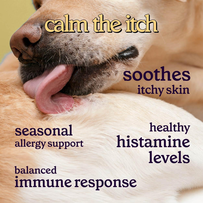 Premium Dog Allergy & Itch Relief Chews – Dog Allergy Relief Chews for Itch Relief, Skin & Coat, Anti-Itch, Scratching, Immune Support & Seasonal Allergies – Itchy Skin Relief Supplement - 90 Chews