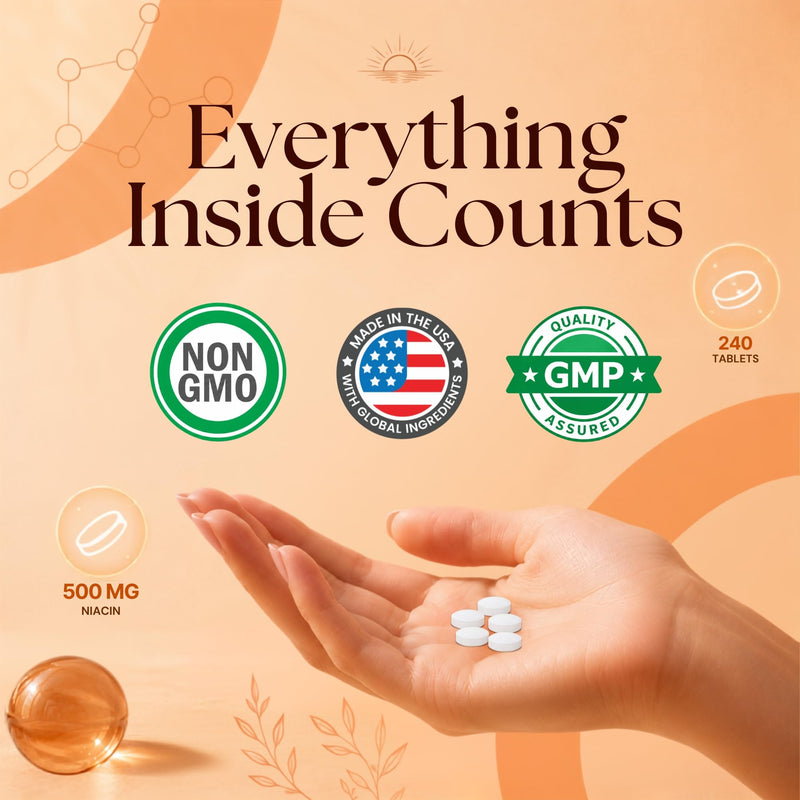 Vitamatic Niacin (Vitamin B3) 500mg, 240 Tablets - Non-GMO & Gluten Free- 480 Tablets (Pack of 2)