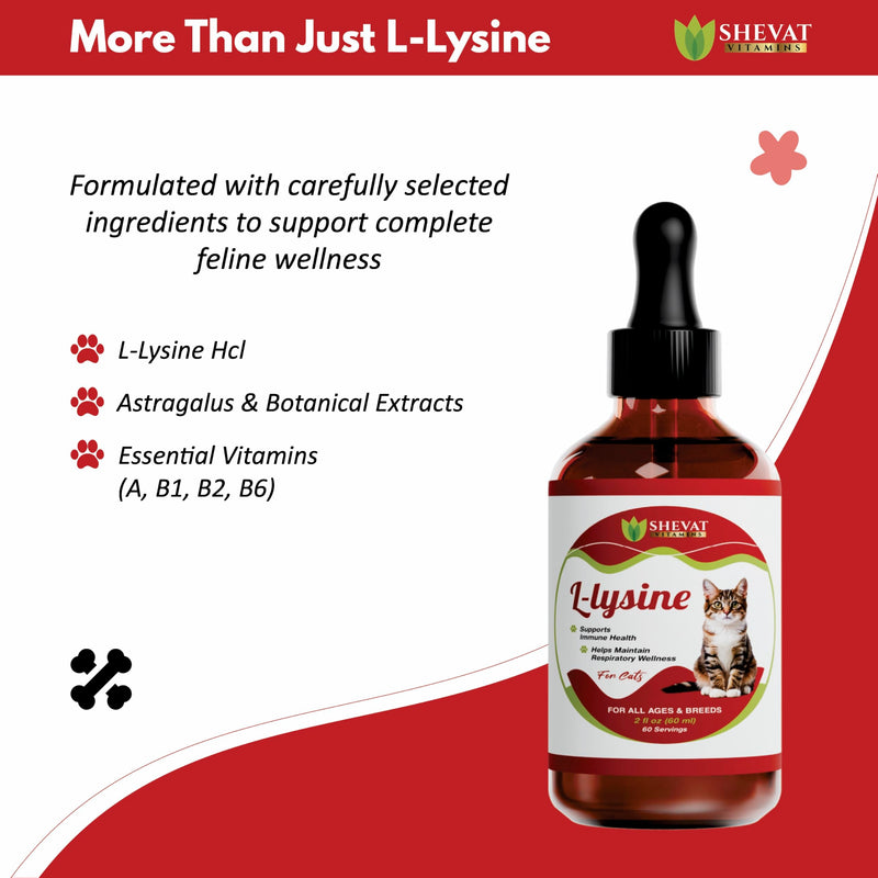 L-Lysine Liquid Supplement for Cats – Immune & Respiratory Support – Supports Eye Health, Sneezing & Runny Nose – 60ml Liquid Drops – Roast Chicken Flavor