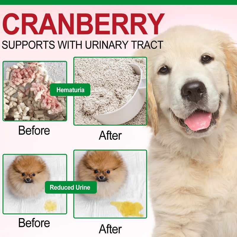 Bladder & Kidney Support for Dogs, Urinary Tract treatment and Bladder Control Supplement, Soft Chews with Cranberry and D-Mannose, Natural Immune System Booster - Peking Duck Flavor (150Pcs) 150Pcs