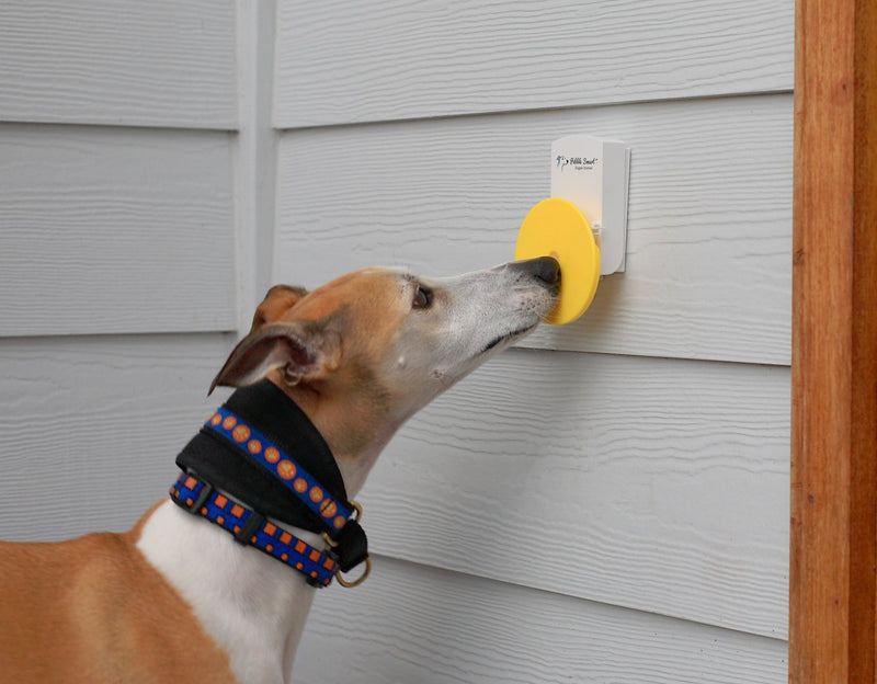 Doggie Doorbell - Blue Accent - BeesActive Australia